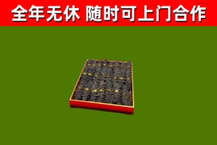 莘市回收海参